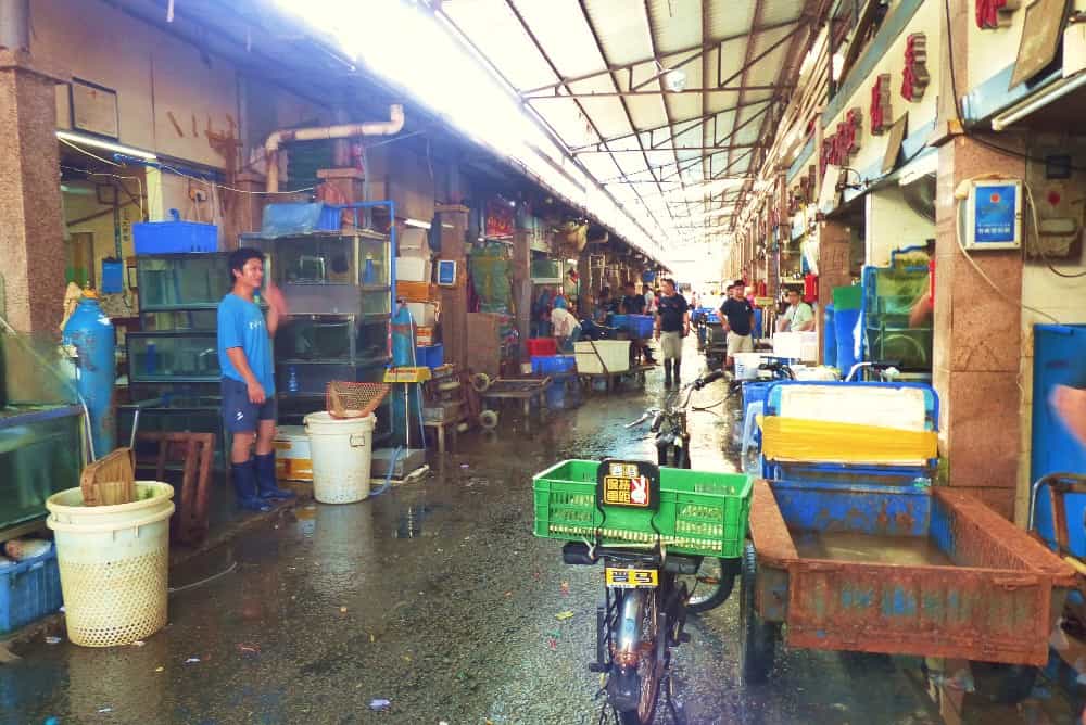 Le marché aux poissons et produits de la mer à Guangzhou (Canton)