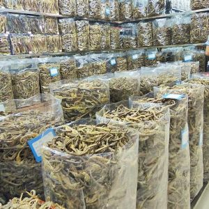 Des centaines de sacs énormes remplis d’hippocampes séchés dans une boutique du marché aux épices.