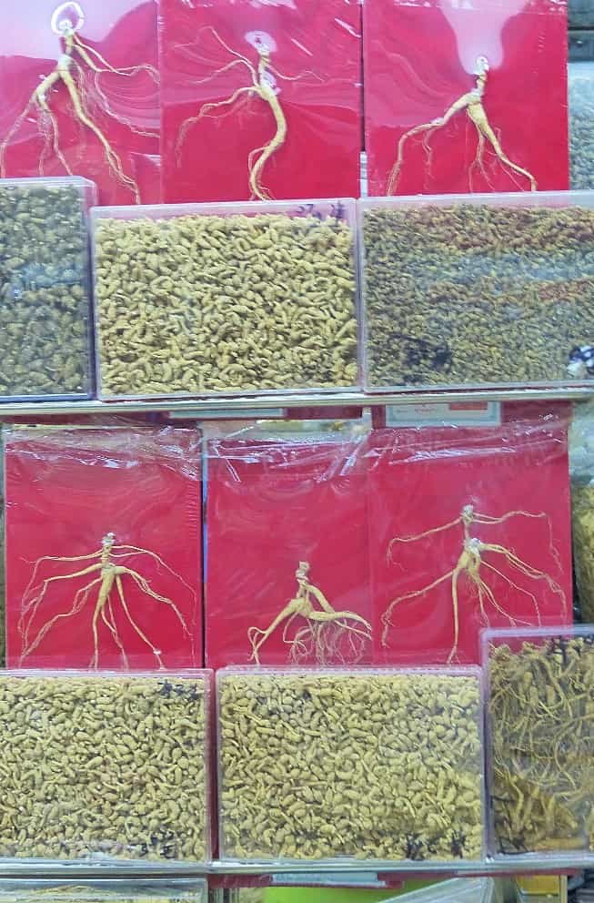 Des bocaux de racines de ginseng dans le marché aux épices de Canton