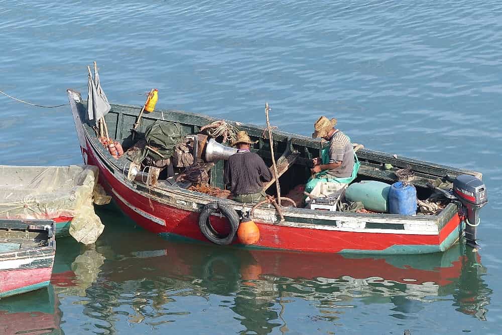 El Jadida - Retour des pêcheurs
