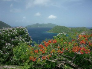 Croisière Nord Caraibes - Les Saintes (r26)