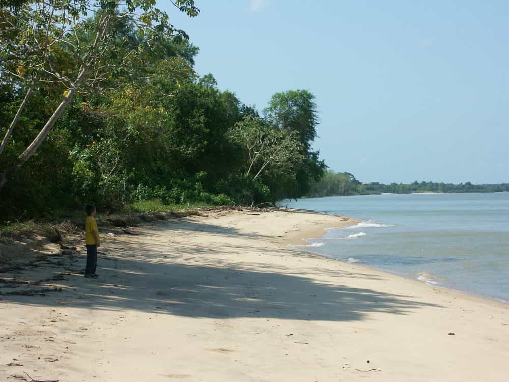La plage d'Awala Yalimapo