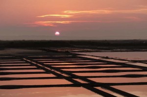 Guérande - Lever de soleil sur les marais (r24)