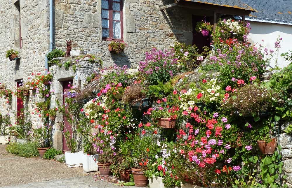 Maison fleurie à Piriac
