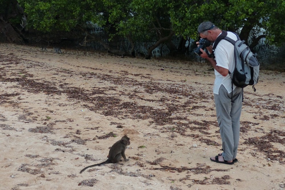 Sur la plage de Kuta, les singes se laissent facilement photographier
