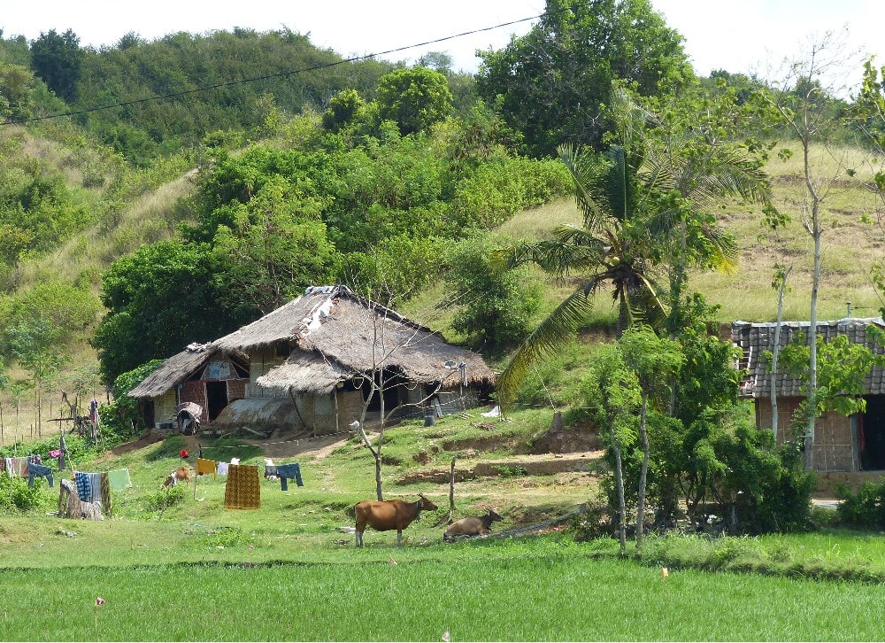 Petit village de pêcheurs à l'Est de Kuta