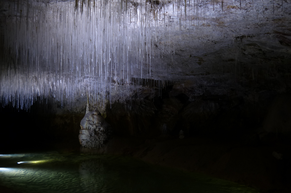 Grotte de Choranche dans le Vercors - stalactites fistuleuses